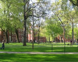 Backlash over Harvard University protests